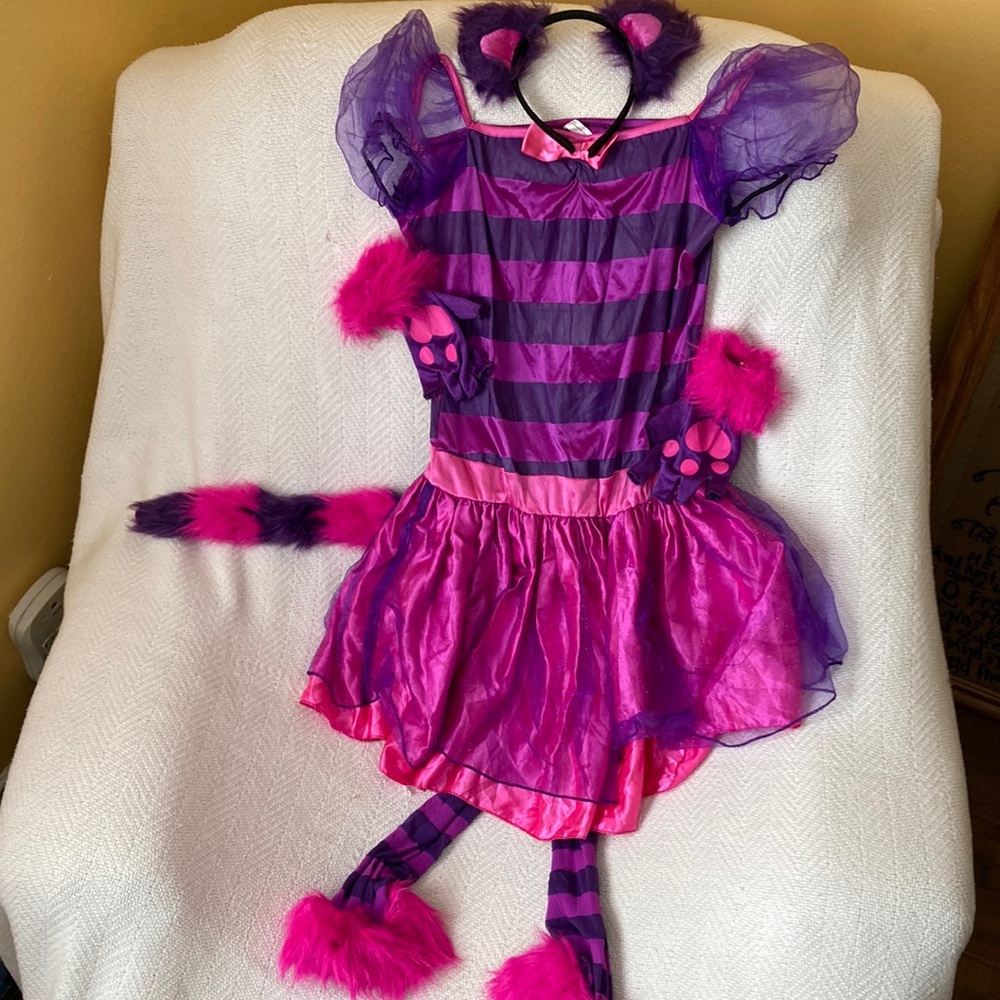 Girls Cheshire Cat Costume W/Accessories Sz L